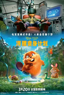 五月天丁香花婷婷视频网
