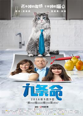 相泽南作品在线看