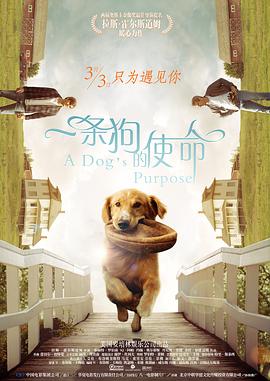 久久久久精品免费播放