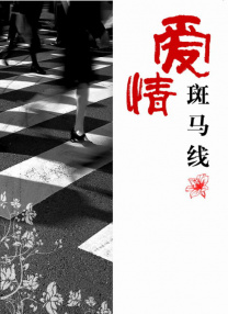 妈妈的奶罩内裤小说